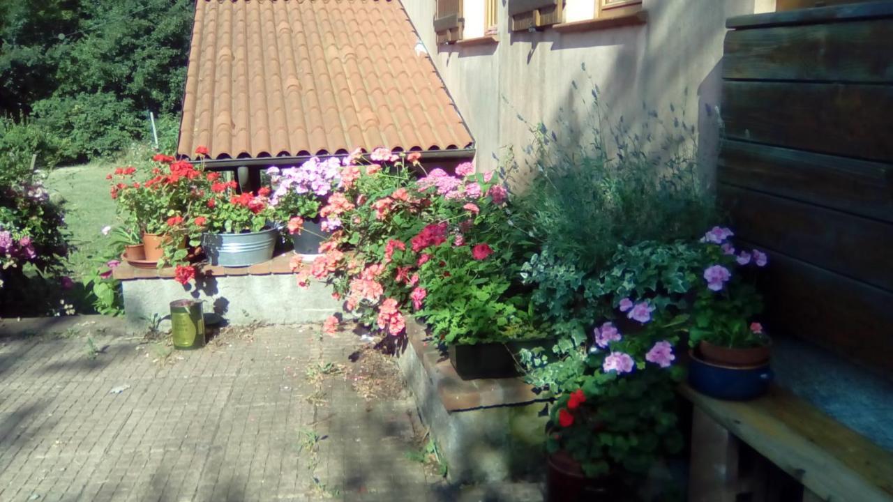 Il Pettirosso Di Giusvalla Exterior photo