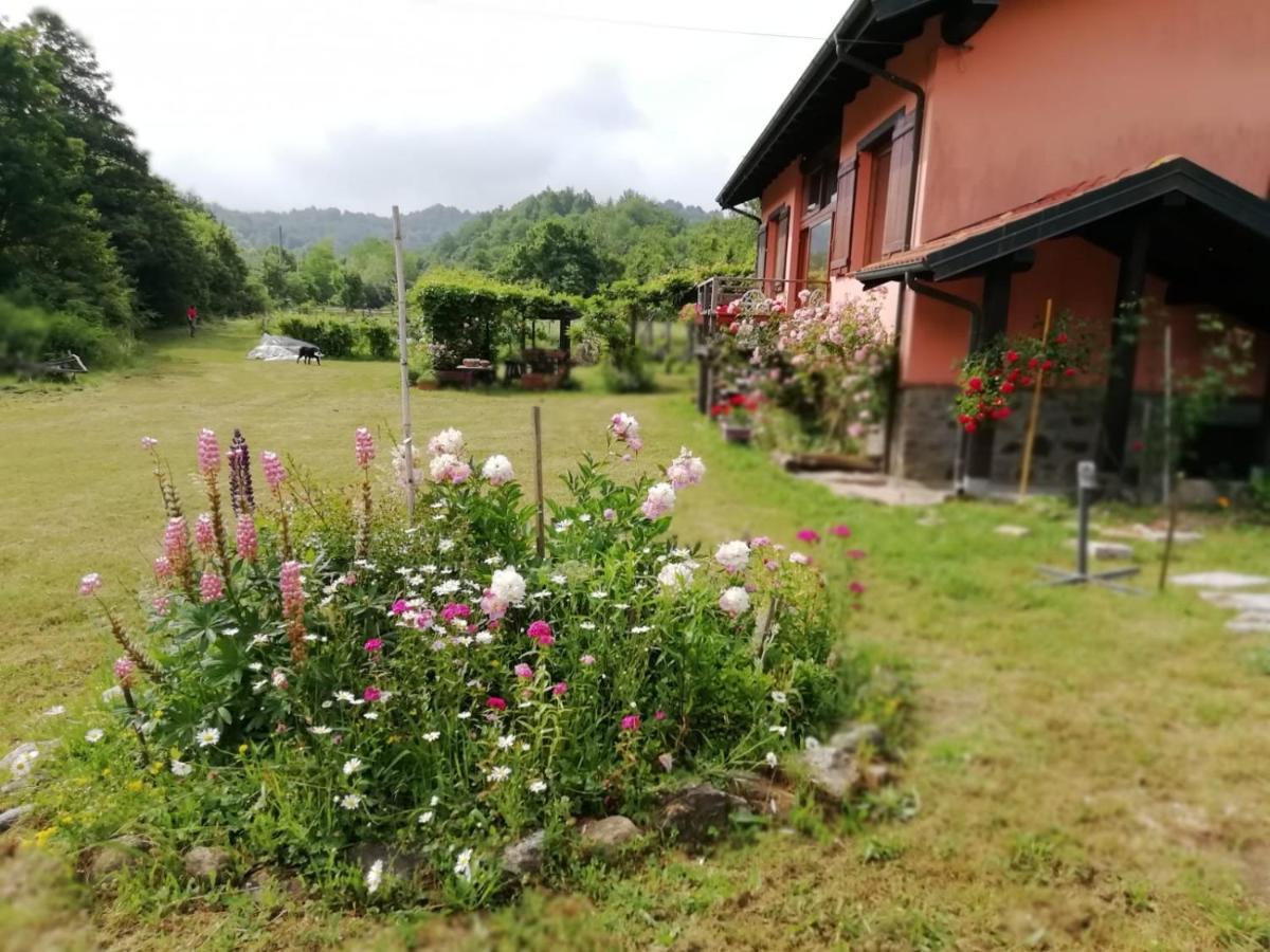 Il Pettirosso Di Giusvalla Exterior photo